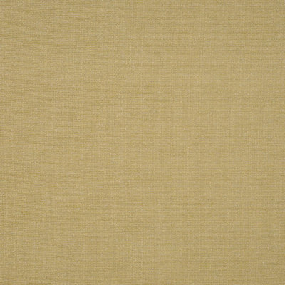 Allure Fabric
