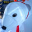 Christmas Decoration