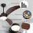 3-Solid Blade Propeller Ceiling Fan with Remote Control and LED Light - Loynaz-1989332724
