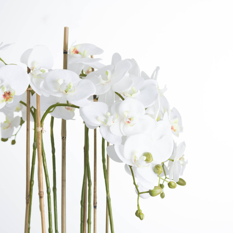 Annitta 88cm Plant in Pot