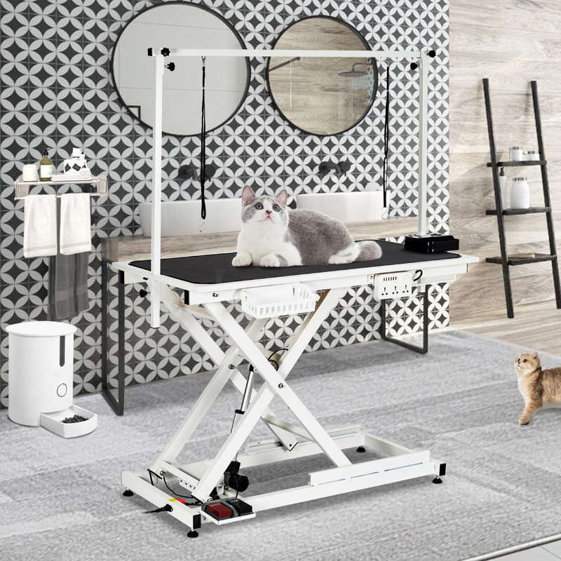 Table de toilettage électrique 50 po avec accoudoirs en aluminium, Argent argent