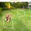 Appareil de dressage d'agilité pour chien - 4 pièces avec barres à sauter réglables et sac de transport mobile, blanc pour étui transportable Smart Dogs