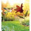 Piquet de jardin en métal Hummingbird Flower-1690802842