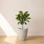 Pot à fleurs rond Vinisha ECOBO EcoFriendly-928914534-928914530