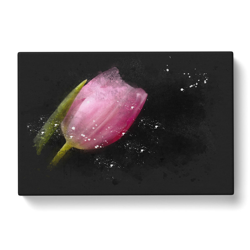 Pale Pink Tulip - Wrapped Canvas Painting, 50cm H x 76cm W x 3cm D