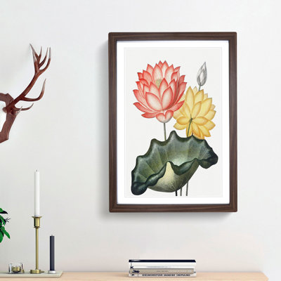 Egyptian Water Lilies by R.J. Thornton - Picture Frame Painting Print
