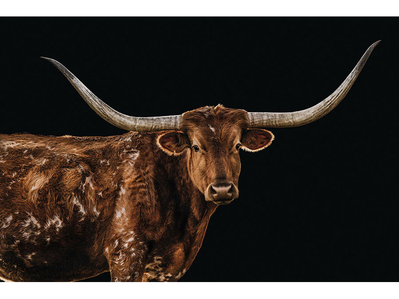 "Bigger in Texas" par Adam Mowery - Photographie encadrée, Image au gel brossé