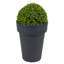 Elvezia Pot Planter-504880695-504880688