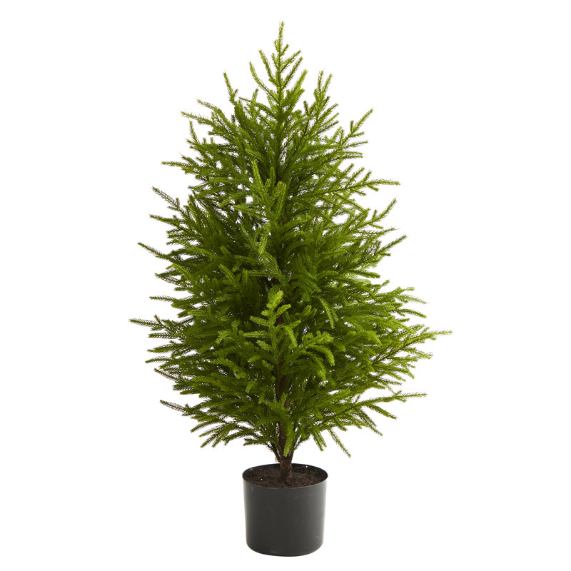 2' Artificial Pine Christmas Tree, 3' H