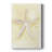 Salty Seashell I -Custom Wrapped Gallery Cavas