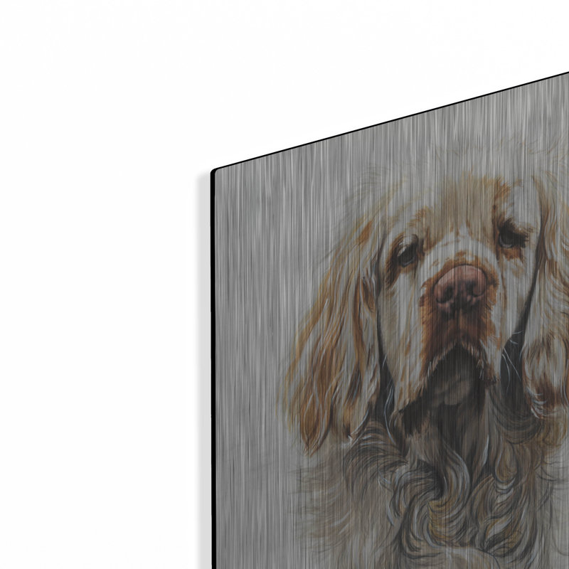 «Clumber Spaniel» par Barbara Keith, H 24 po x l 16 po