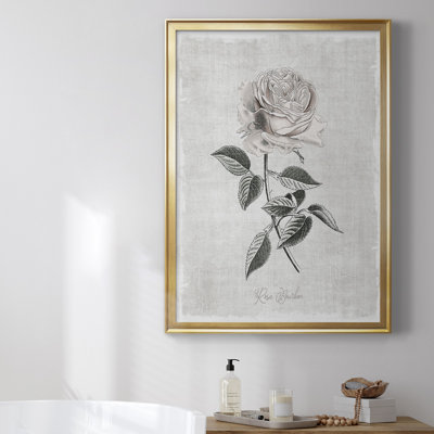 Toile encadrée de qualité supérieure Vintage Botanical I - prête à être accrochée