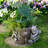 Ceramic Statue Planter