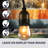 Rentas Indoor / Outdoor 8 - Bulb 24.5 in. Plug-in LED Standard String Light