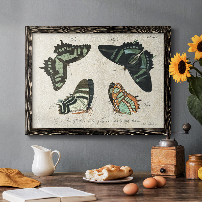 «Crackled Butterflies III», peinture sur toile encadrée, Noir, H 28 po x l 42 po x P 1,5 po
