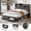 Darlita Upholstered Storage Bed-1546695123