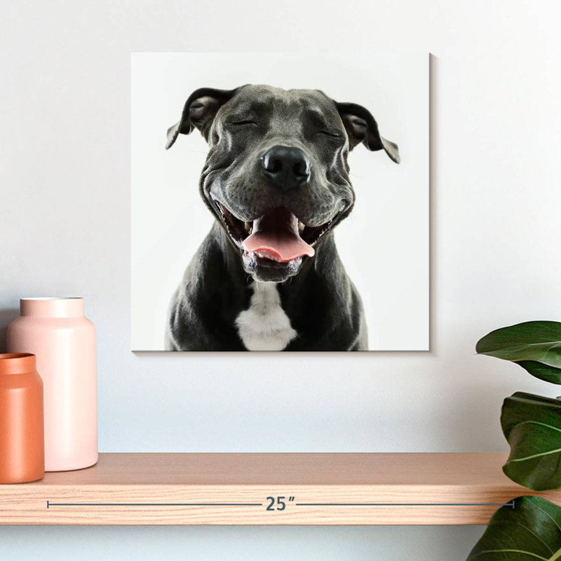 Brampt Smiling Black Pitbull, 16" H x 16" W