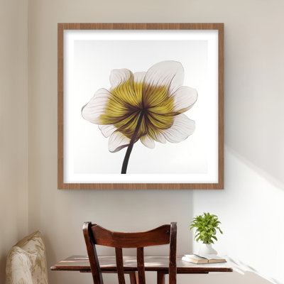 Beautiful Anemone Yellow Flower Print | Framed Home Decor