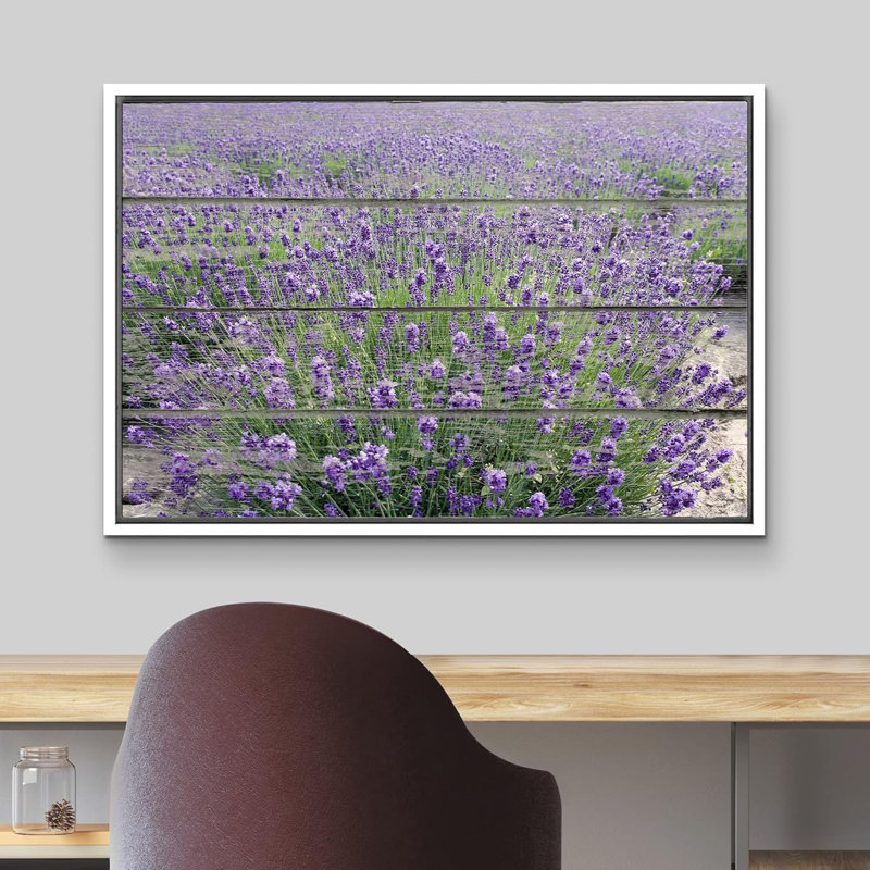 Mauve champ de lavande - impression sur toile tendue, H 16 po x l 24 po, Cadre flottant blanc