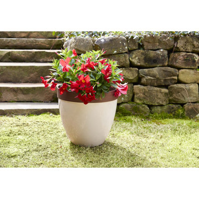 Hornsby Outdoor Pot Planter