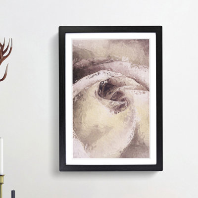 Pale Pink Rose - Framed Print