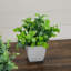 8 po Mini plantes artificielles en pot - ensemble de 4