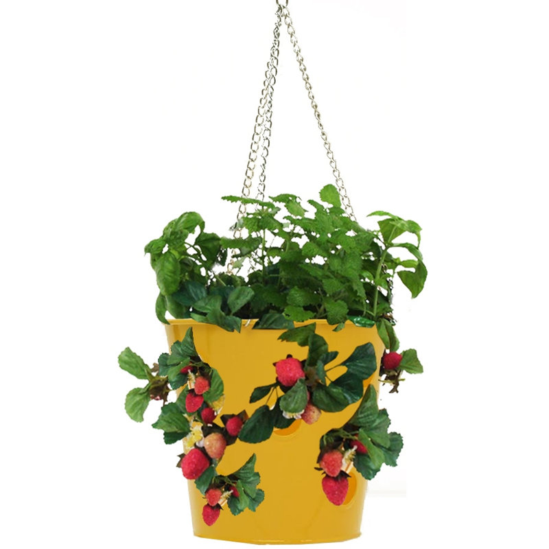 Alasdair Metal Hanging Planter, Saffron