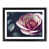 Black Framed selected