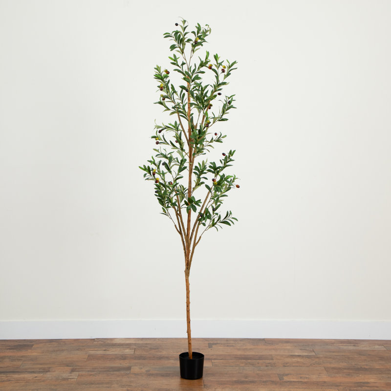 7 pi Olive artificielle avec tronc naturel