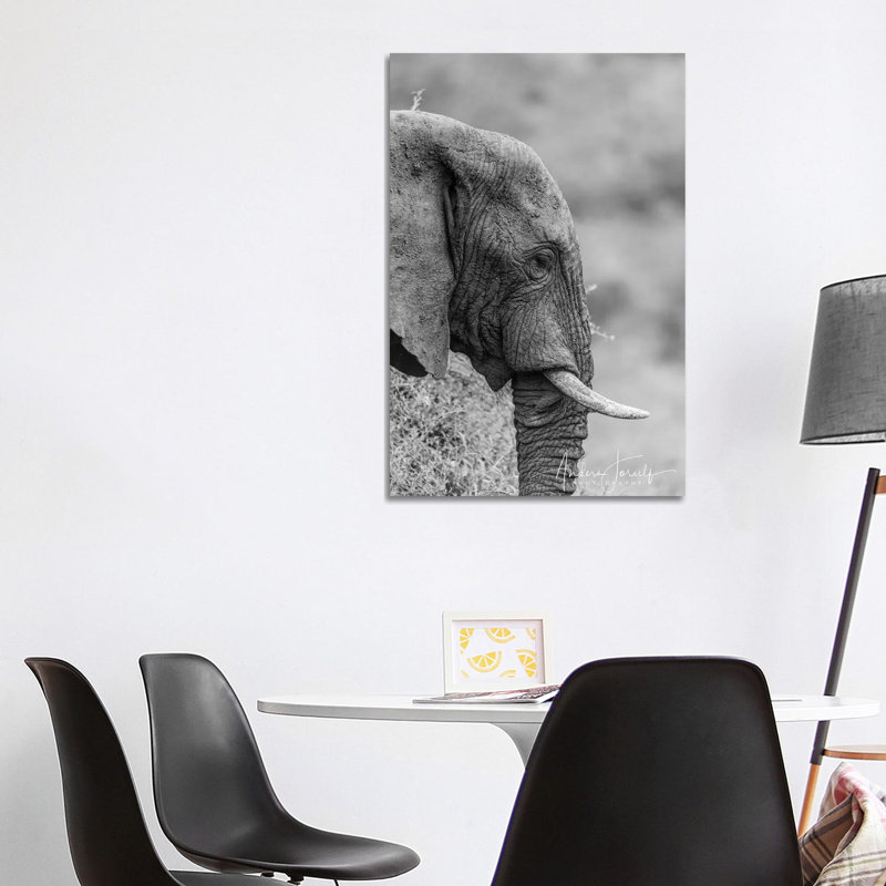 The Silent Elephant 1 Piece Wrapped Canvas Wall Art, 101.6 cm H x 66.04 cm W x 3.175 cm D
