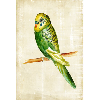 Fanciful Birds III by Chariklia Zarris - Wrapped Canvas Painting