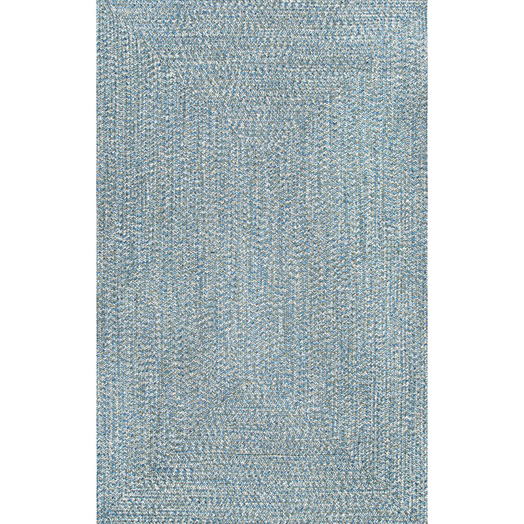 Zarine Handmade Braided Aqua Indoor/Outdoor Area Rug