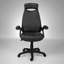 Chaise de bureau pivotante ergonomique à hauteur réglable, avec accoudoirs rembourrés et dossier haut, idéale pour les espaces de travail modernes.