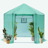 Walk-In Greenhouse Hexagonal Upgrade Reinforced Frame