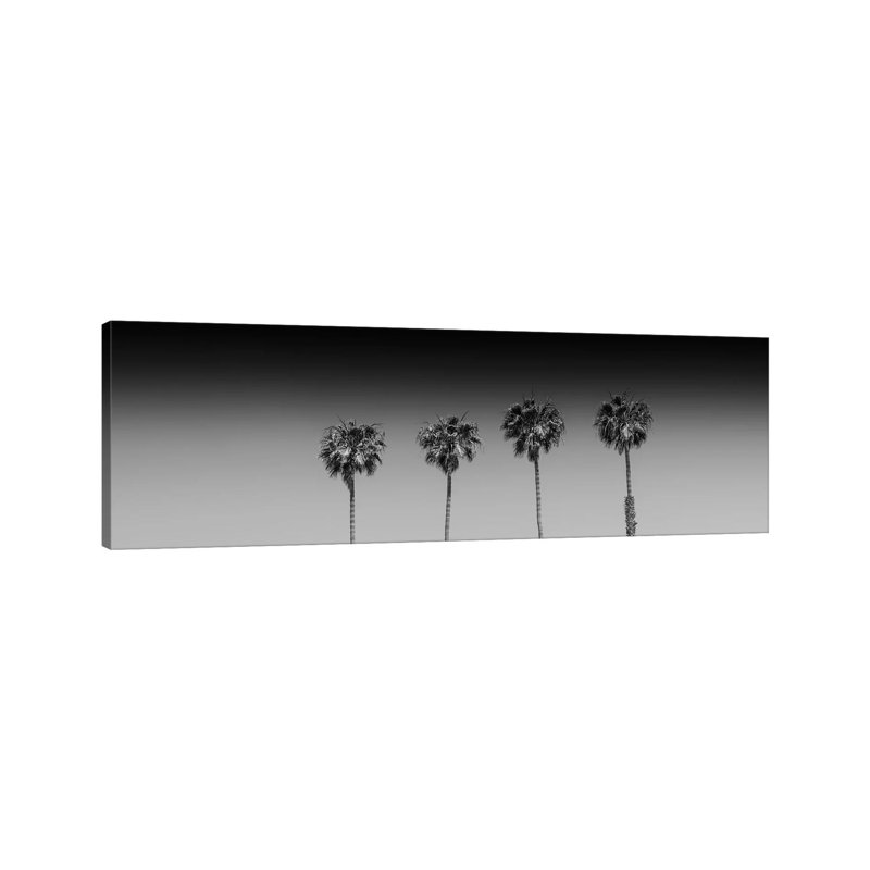 Lovely Palm Trees In Black And White by Melanie Viola - Wrapped Canvas Panoramic Print, 30.48 cm H x 91.44 cm W x 1.91 cm D