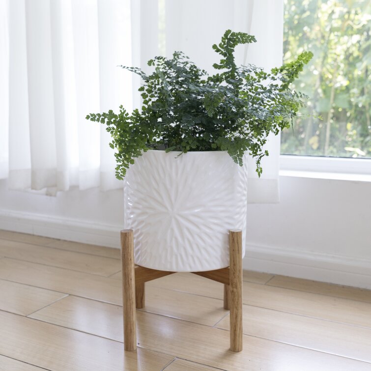 Tall Classy Plant Stand and Pot – Art Leylona