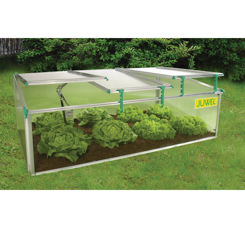 BioStar Cold Frame 31.2" W x 59.04" D