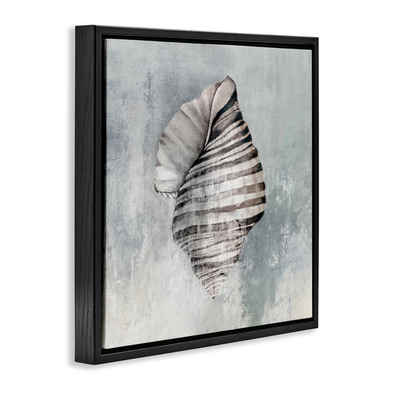 Art mural sur toile flottant organique coquillage torsadé par Eli Jones, Cadre flottant noir de jais, H 18 po x l 18 po