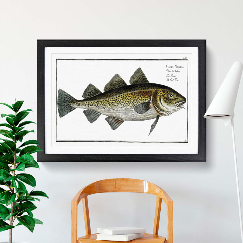 Cod Fish by M.E. Bloch - Picture Frame Painting, 48cm H x 65cm W x 2cm D, Black Framed