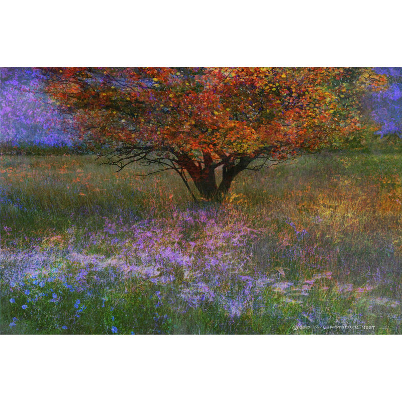 Lone Tree Flowered Meadow Canvas Art Print