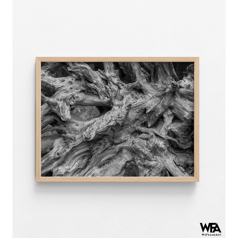«Driftwood» par Aaron Matheson, art mural de bord de mer en noir et blanc, décor auberge de bord de mer, décor de photographie inspiré de la plage