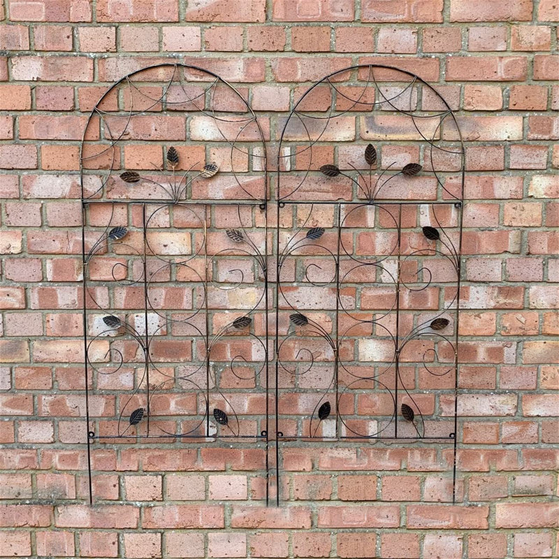 Winovich 120Cm H x 50Cm W Metal Bronze Coloured Arched Trellis