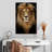 Brampt Kingly Lion Head-108236569