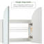 Lyneisha 55mm W 60mm H Surface Medicine Cabinet Mirror