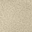 Sherpa Teddy | Kova Fabric-1253050800