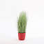 68cm Grass in Pot