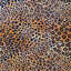 Ardmore Velvet Fabric-1038597140