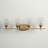 Dahlya 4 - Light Dimmable Vanity Light-112679997
