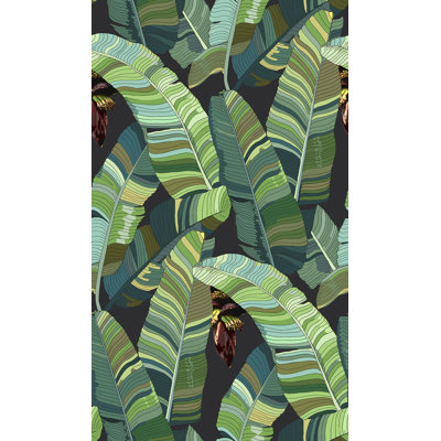 Banana Palm Dream