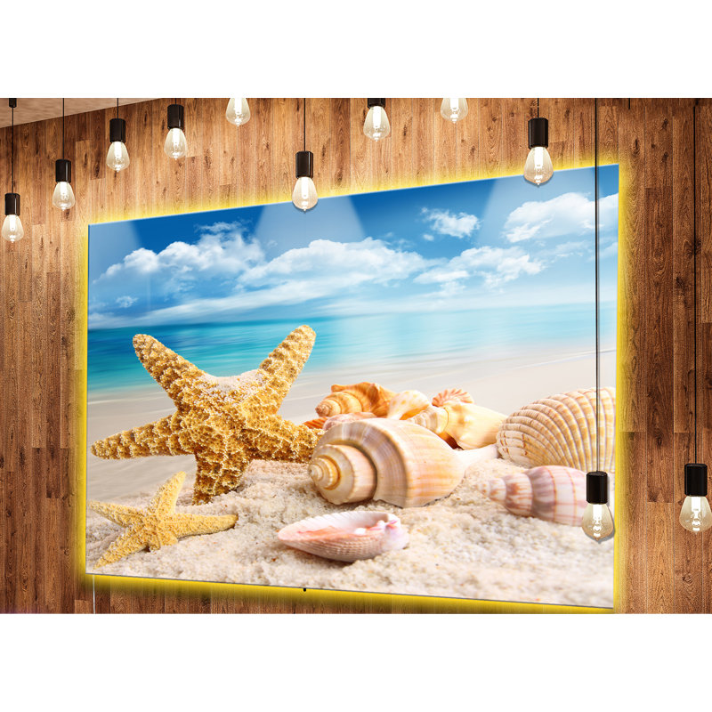 «Starfish and Seashells on Beach», photographie, H 38 po x l 38 po x P 1 po, Métal